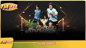 Kèo chẵn lẻ - Kèo nhà cái thu hút mọi thành viên tham gia 16 Kèo chẵn lẻ