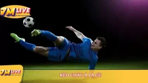 Kèo châu Á là gì? Cách tính tiền và các tỷ lệ cược phổ biến 15 kèo châu á là gì