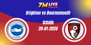 Nhận định Ngoại hạng Anh Brighton vs Bournemouth 20/01/2026 10 Nhận định Ngoại hạng Anh Brighton vs Bournemouth 20/01/2026